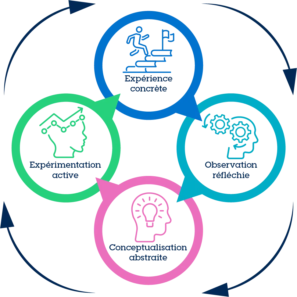 Le cycle de l'apprentissage expérientiel de Kolb